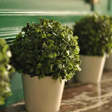 Grand 15 Personnes, 9 Chambres, 100km De Paris En Exclusivite * Septmonts